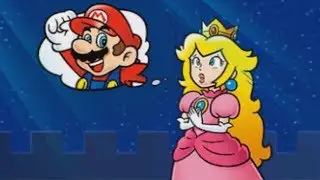 Super Mario 3D Land 100% Walkthrough - World 3