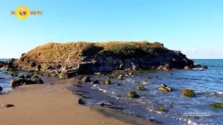 Aya Nikola Adası Plajı ve &Ccedil;evre Sahili &Uuml;nye Belgesel
