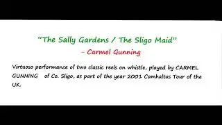 Carmel Gunning [ tin whistle ] : 