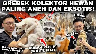 KOLEKSI HEWAN EKSOTIS SULTAN ADA DISINI! GREBEK PAMERAN PELIHARAAN UNIK DAN ANEH DI DALAM MALL!