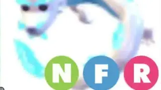 How much a NFR Frost fury is worth Adopt me roblox