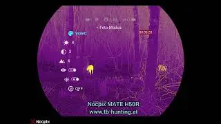 Nocpix MATE H50R 