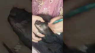 تعالي ماما تسرح شعرك لحد لما تنامي#asmr #صوت الأشياء الاسترخاء العلكه الكيبورد 😴💤 أسمر ماما 