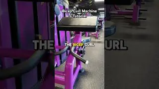 BICEP CURL MACHINE TUTORIAL 💪🏼 // Use this machine to build arm strength! #workout #planetfitness