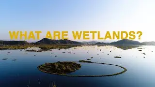 World Wetlands Day 2025 | India&rsquo;s Wetlands & Climate Resilience Film