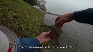 Fly Fishing for Grayling in Bosnia