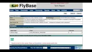 Finding related genes in FlyBase: The Gene Ontology