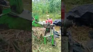 How to compress and als prepare quality silage for our cattle #silageseason