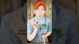 HOW TO DIRECT SELL LAMB FOR PROFIT | sheep farming for beginners tips for raising sheep homestead