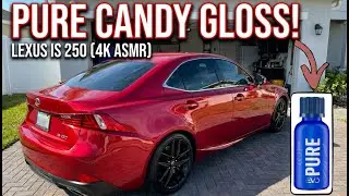 Pure Candy Gloss! 🍭 Lexus IS 250 + Gyeon Pure EVO (4K ASMR)