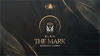 Elan   The Mark   Introduction