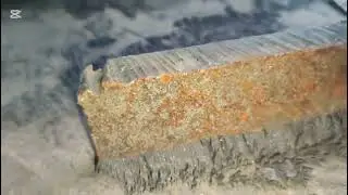 লোহার গুঁড়োর জাদুকরী নাচ! 😱 Amazing Magnetic Field Experiment with Iron dust 