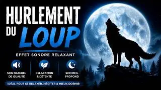 Le hurlement du loup