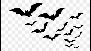 HOW TO USE BAT AS A VERB AND A NOUN. (SPOKEN ENGLISH)