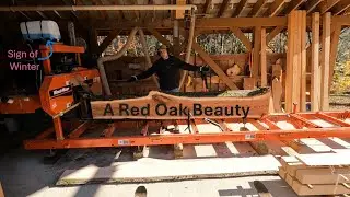 Фрезерование пиломатериалов из красного дуба на станке Wood-Mizer LT15