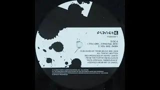 Kenny Larkin - You Are... (Original Mix)(2008 - Planet E - PLE65300-1)