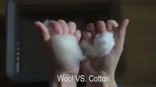 Wool VS. Cotton :: Aclima