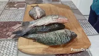 ⁉️Caras de Dunăre prăjit⁉️Și făcut saramura⁉️#reteteculinare