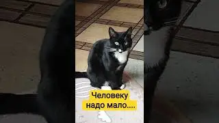 Материальное ценится пока его нет... #личность #любовь #психофакт #топ #relax #социальнаяпсихология