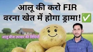 -🥔 Complete Potato Seed Treatment | Increase Yield & Prevent Diseases