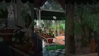 Bangalore 🌧️😍😍#ytshorts #shorts #viral #restaurant #viralvideo #lunch #rain #bangalorerain