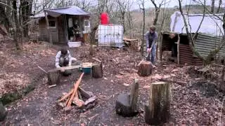 Les squatteurs des bois
