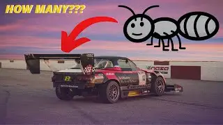 Can ants lift a car?