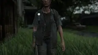 The Last of Us 2 - Hillcrest Grounded+ Aggressive