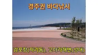 감포항 찌낚시  # 동해 원투 낚시 [190613]