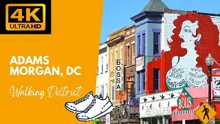 4k Walk Around Adams Morgan, Washington, DC