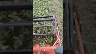 Fieldking multi crop harvester