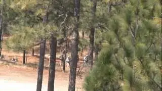 White Falcons on the Assault (part 3 of 4) - White Falcons JOAX 13-02 Operation