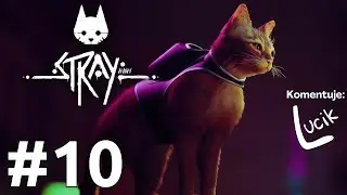 Areszt | 1440p60 | Zagrajmy w Stray PL odc. 10