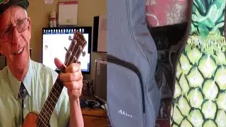 Which ukulele gig bag or hard case to get?  Here are some good options.