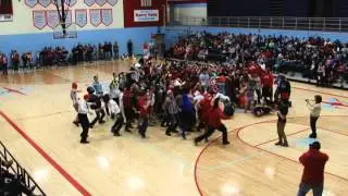 Alliance Aviators Harlem Shake
