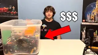 I Spent $100 on Random LEGOS&hellip; What did I Get?