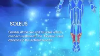 Stretches for Achilles and Calf Pain Using ProStretch Plus