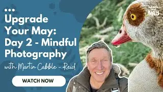 Upgrade Your May: Day 2 - Mindful Photography