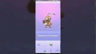 Pok&eacute;mon GO: Evolution of Seedot to Nuzleaf | Seedot Community Day