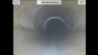 Putman 7739. Video 1