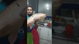 Ikan mas Daegu Nongong Korea