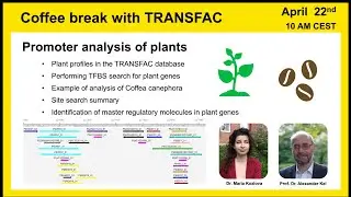 Promoter analysis of plants