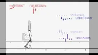 Learning Robust Walking Controllers