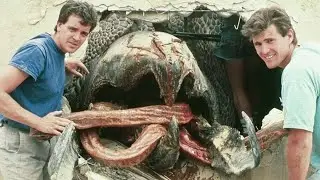 Alien Monsters Murd&euro;ring People Are Loose And Cause A Havoc On Earth!
