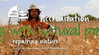 AABR accreditation benefits for nature
