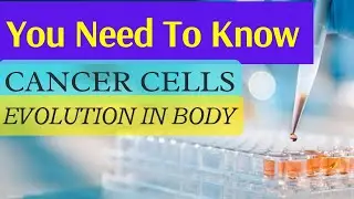 How Cancer Cells Learn to Evolve