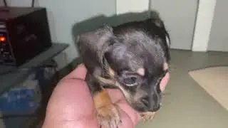 10229