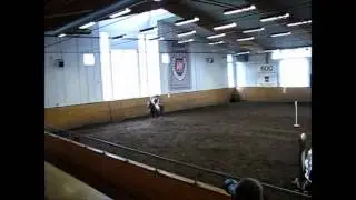 t&auml;vlingar