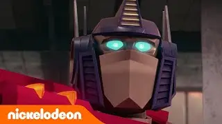 La era de la evolución, segunda parte | Nickelodeon en Español