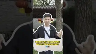 The Greatest Treasure Hunt: What if We Could Bring the Lost Books Home? 最伟大的&ldquo;寻宝&rdquo;：如果我们能把失散的藏书找回家？🗺️